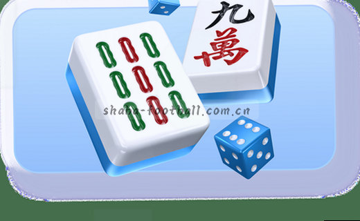 赛事资讯深度观察